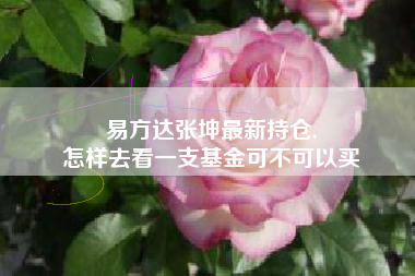 易方达张坤最新持仓,
怎样去看一支基金可不可以买