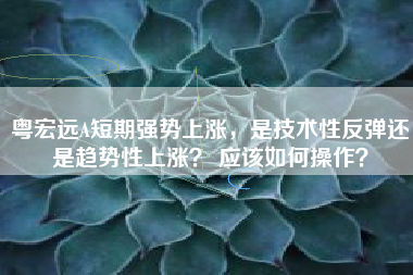 粤宏远A短期强势上涨，是技术性反弹还是趋势性上涨？ 应该如何操作？