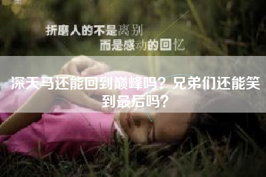 深天马还能回到巅峰吗？兄弟们还能笑到最后吗？