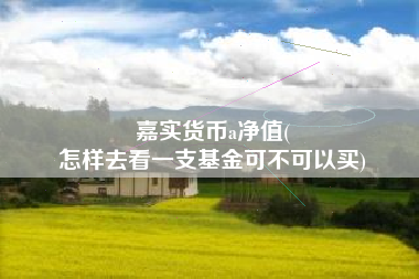 嘉实货币a净值(
怎样去看一支基金可不可以买)