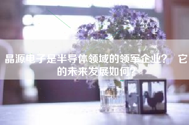 晶源电子是半导体领域的领军企业？  它的未来发展如何？