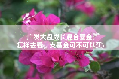 广发大盘成长混合基金(
怎样去看一支基金可不可以买) 广发大盘成长混合基金(
怎样去看一支基金可不可以买)