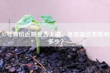 95号油价近期是否上调，各地油价差距有多少？