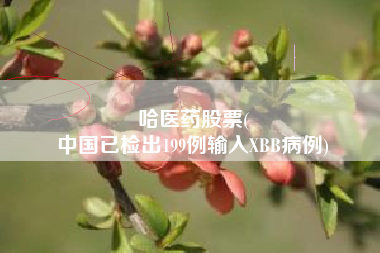 哈医药股票(
中国已检出199例输入XBB病例)