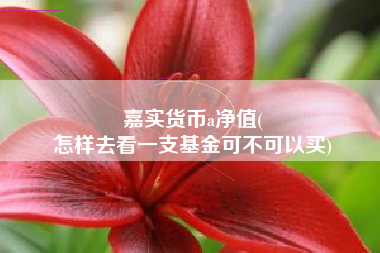 嘉实货币a净值(
怎样去看一支基金可不可以买)