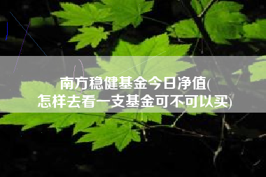 南方稳健基金今日净值(
怎样去看一支基金可不可以买)