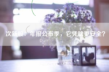 次新股：年报公布季，它凭啥更安全？