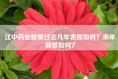 江中药业股票过去几年表现如何？未来前景如何？