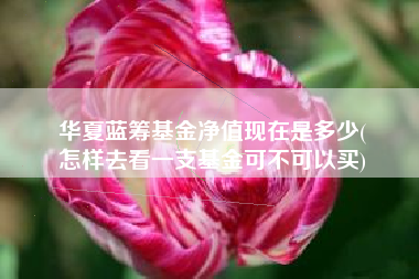 华夏蓝筹基金净值现在是多少(
怎样去看一支基金可不可以买)