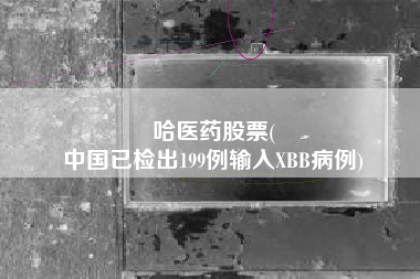 哈医药股票(
中国已检出199例输入XBB病例)