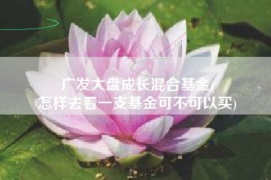 广发大盘成长混合基金(
怎样去看一支基金可不可以买) 广发大盘成长混合基金(
怎样去看一支基金可不可以买)