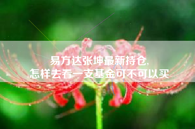 易方达张坤最新持仓,
怎样去看一支基金可不可以买