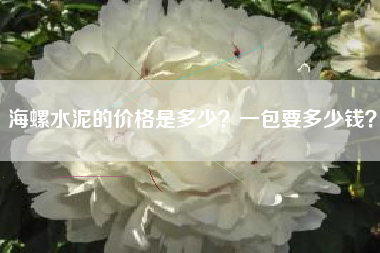 海螺水泥的价格是多少？一包要多少钱？