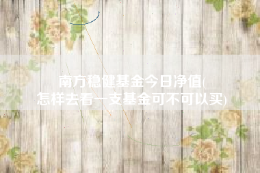 南方稳健基金今日净值(
怎样去看一支基金可不可以买)