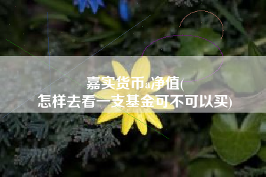 嘉实货币a净值(
怎样去看一支基金可不可以买)