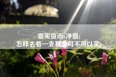 嘉实货币a净值(
怎样去看一支基金可不可以买)