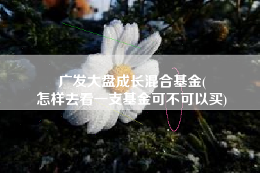 广发大盘成长混合基金(
怎样去看一支基金可不可以买) 广发大盘成长混合基金(
怎样去看一支基金可不可以买)