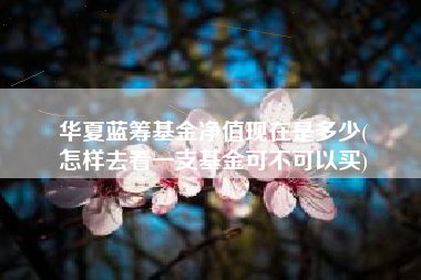 华夏蓝筹基金净值现在是多少(
怎样去看一支基金可不可以买)