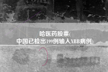 哈医药股票(
中国已检出199例输入XBB病例)