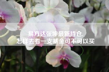 易方达张坤最新持仓,
怎样去看一支基金可不可以买