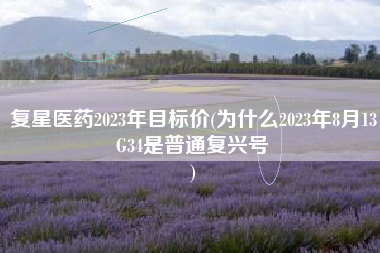 复星医药2023年目标价(为什么2023年8月13G34是普通复兴号
) 复星医药2023年目标价(为什么2023年8月13G34是普通复兴号
)