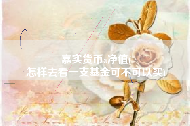 嘉实货币a净值(
怎样去看一支基金可不可以买)