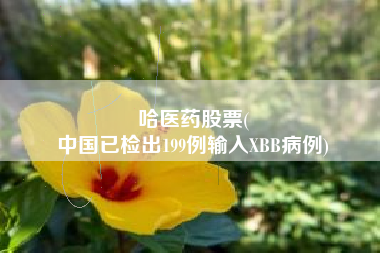 哈医药股票(
中国已检出199例输入XBB病例)