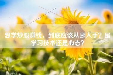 想学炒股赚钱，到底应该从哪入手？是学习技术还是心态？