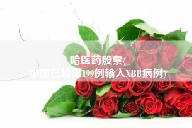 哈医药股票(
中国已检出199例输入XBB病例)
