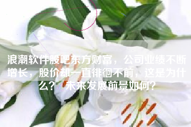 浪潮软件股吧东方财富，公司业绩不断增长，股价却一直徘徊不前，这是为什么？  未来发展前景如何？