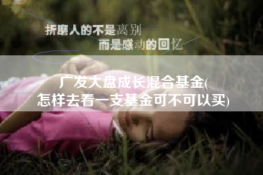 广发大盘成长混合基金(
怎样去看一支基金可不可以买) 广发大盘成长混合基金(
怎样去看一支基金可不可以买)