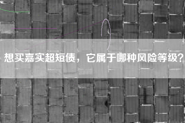 想买嘉实超短债，它属于哪种风险等级？