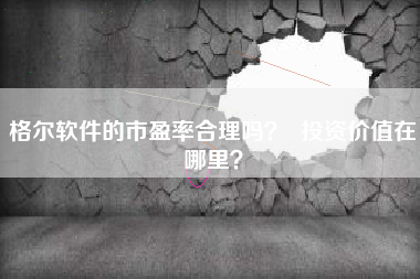格尔软件的市盈率合理吗？  投资价值在哪里？