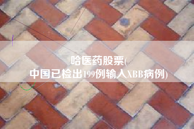 哈医药股票(
中国已检出199例输入XBB病例)