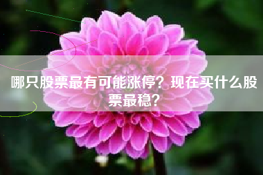 哪只股票最有可能涨停？现在买什么股票最稳？