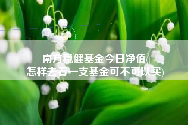 南方稳健基金今日净值(
怎样去看一支基金可不可以买)