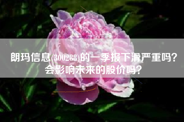 朗玛信息(300288)的一季报下滑严重吗？会影响未来的股价吗？