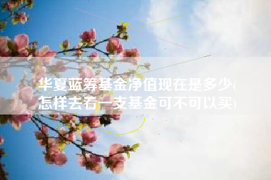 华夏蓝筹基金净值现在是多少(
怎样去看一支基金可不可以买)