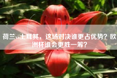 荷兰vs土耳其，这场对决谁更占优势？欧洲杯谁会更胜一筹？