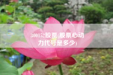300152股票(股票心动
力代号是多少) 300152股票(股票心动
力代号是多少)