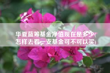 华夏蓝筹基金净值现在是多少(
怎样去看一支基金可不可以买)