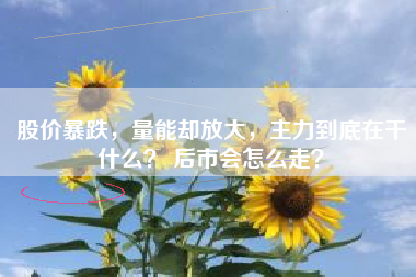 股价暴跌，量能却放大，主力到底在干什么？ 后市会怎么走？