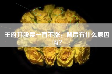 王府井股票一直不涨，背后有什么原因吗？