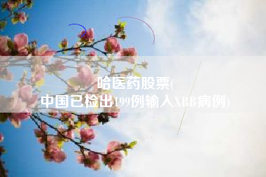 哈医药股票(
中国已检出199例输入XBB病例)