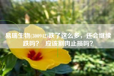 易瑞生物(300942)跌了这么多，还会继续跌吗？  应该割肉止损吗？
