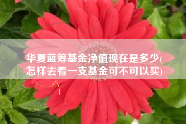 华夏蓝筹基金净值现在是多少(
怎样去看一支基金可不可以买)