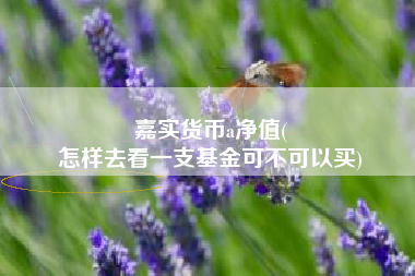 嘉实货币a净值(
怎样去看一支基金可不可以买)