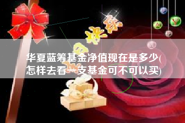 华夏蓝筹基金净值现在是多少(
怎样去看一支基金可不可以买)