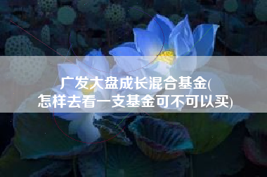 广发大盘成长混合基金(
怎样去看一支基金可不可以买) 广发大盘成长混合基金(
怎样去看一支基金可不可以买)