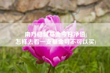 南方稳健基金今日净值(
怎样去看一支基金可不可以买)